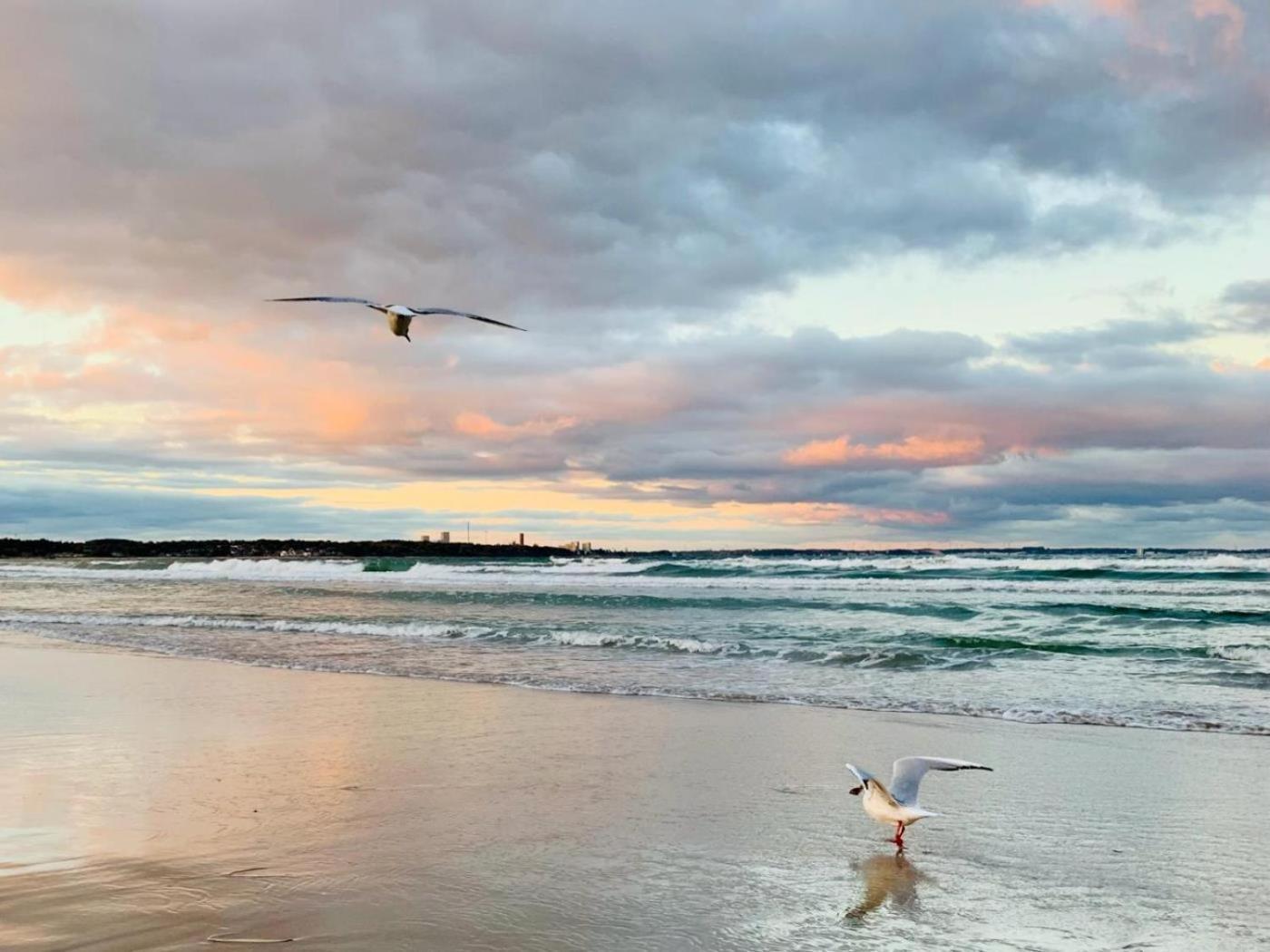 Ferienwohnung Strandstern Scharbeutz Dış mekan fotoğraf